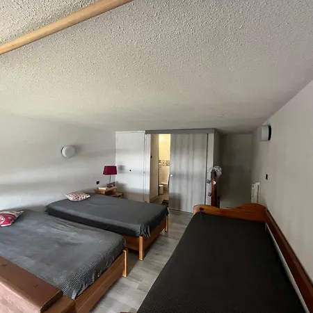 Le Genepi Apartment Taninges